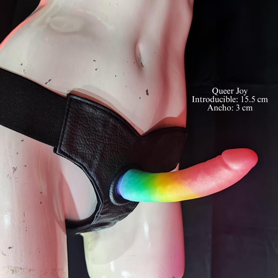 Set Be Pride Pro Arnes y Dildo